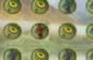 Y�z��� Bul