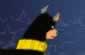 Batmanin k�pe�i