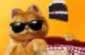 Frenes� del alimento de Garfield