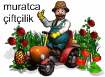 Muratca �ift�ilik